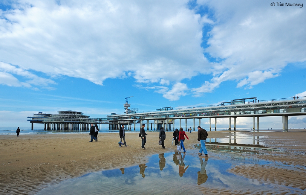 Scheveningen beech.jpg